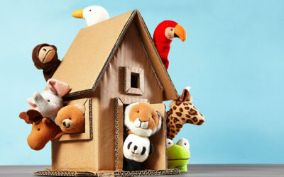 Trasloco Estivo con Animali Domestici: Consigli per un Trasferimento Sereno