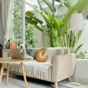 Luminoso soggiorno stile moderno con divano, piante e portatile per home staging.