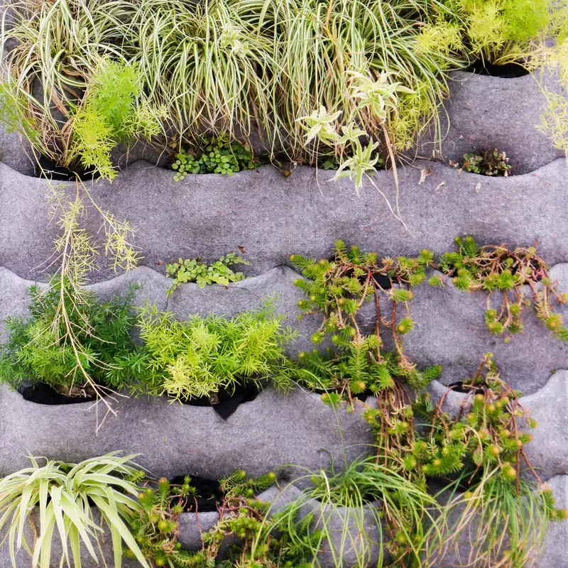 Giardino verticale con piante in un sistema modulare