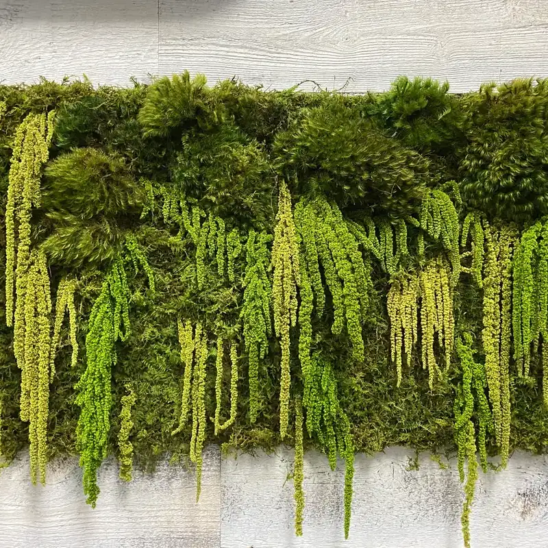 Giardino verticale con piante verdi su parete bianca