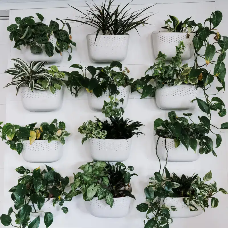 Giardino verticale con piante in vaso su parete bianca