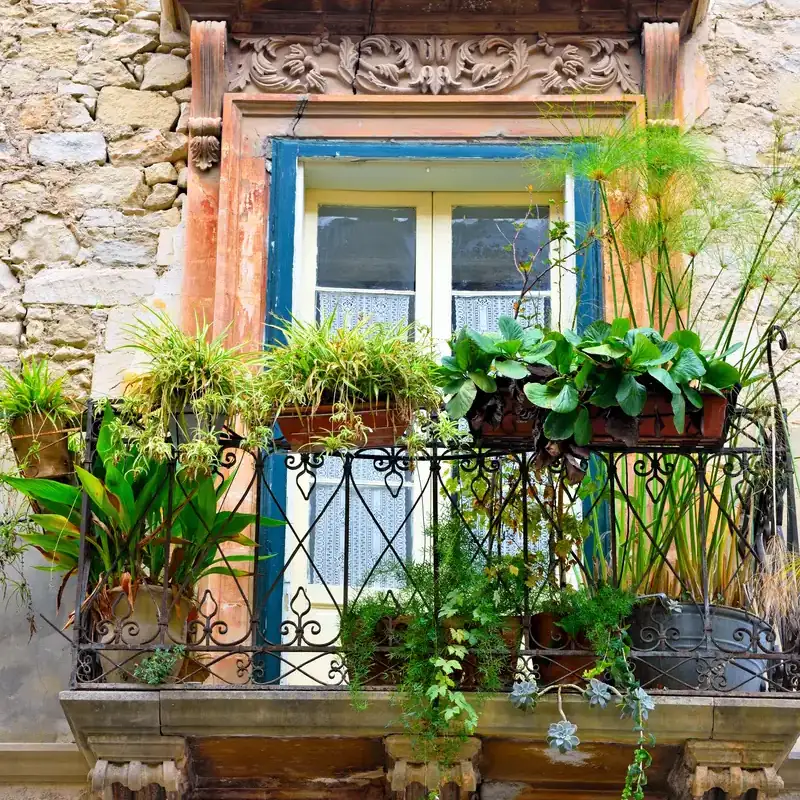 Giardino verticale su un balcone con ringhiera in ferro