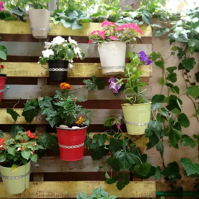 Piante ornamentali in vaso su struttura in legno